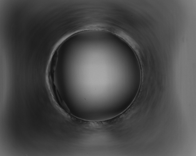 X0000100780960200806191300