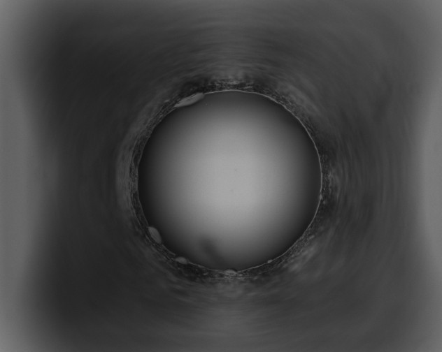 X0000100780961200806191259