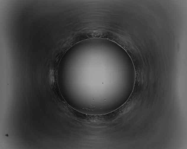 X0000100780962200806191259