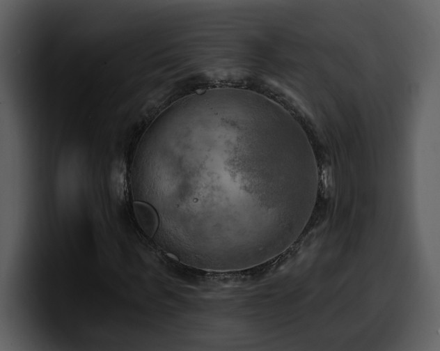 X0000100780963200806191259