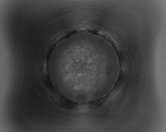 X0000100780964200806191259