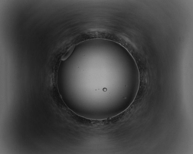 X0000100780965200806191259