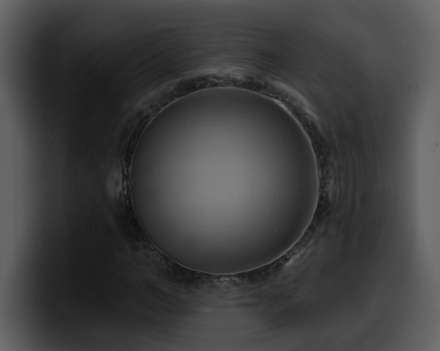 X0000100780966200806191259