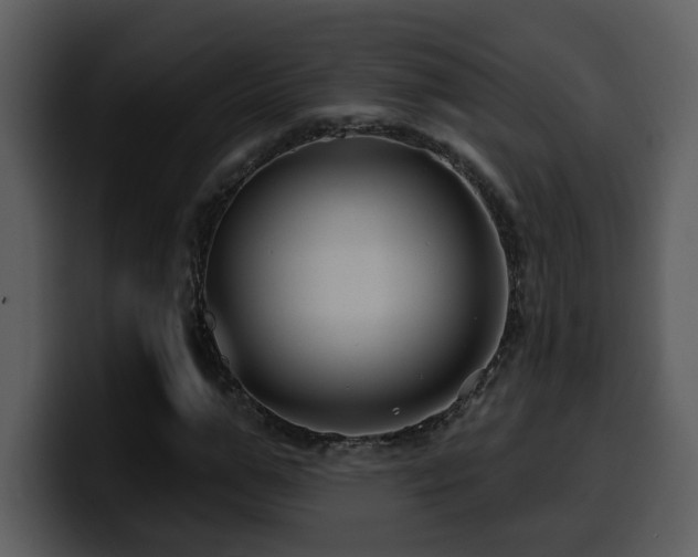 X0000100780967200806191259