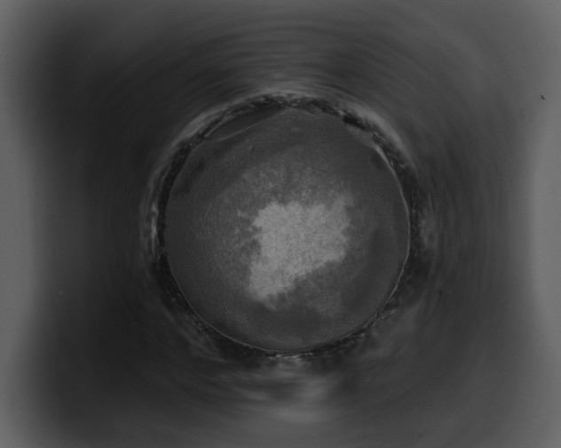 X0000100780968200806191259