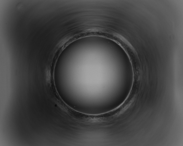 X0000100780969200806191259