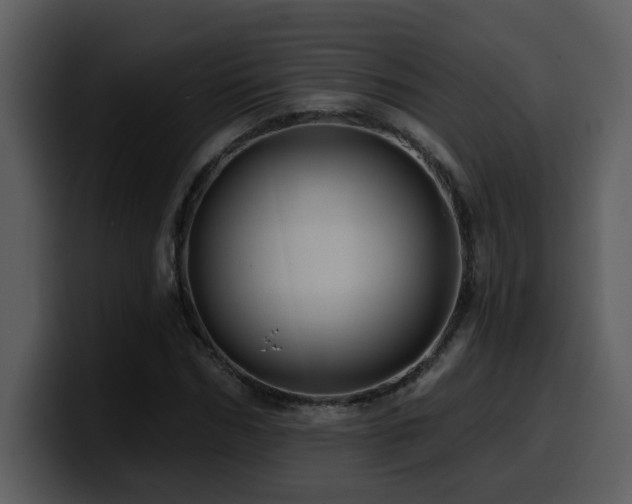 X0000100780970200806191259