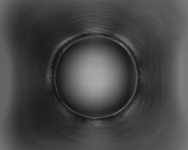 X0000100780971200806191259