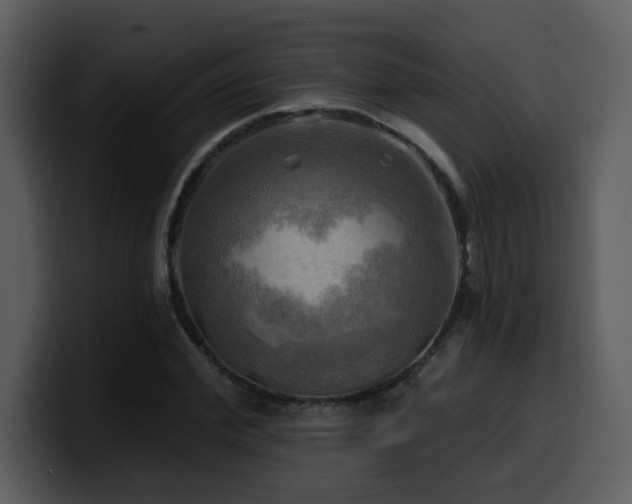 X0000100780972200806191259