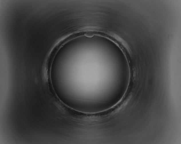 X0000100780973200806191259