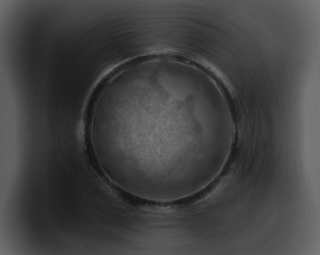 X0000100780975200806191259