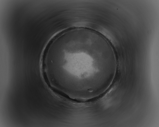 X0000100780976200806191259