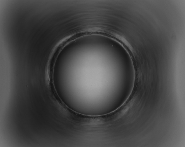 X0000100780979200806191259