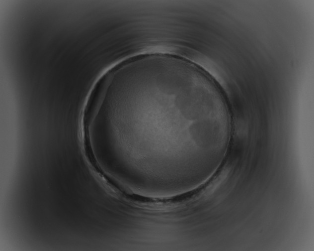 X0000100780980200806191259