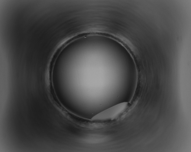 X0000100780982200806191259