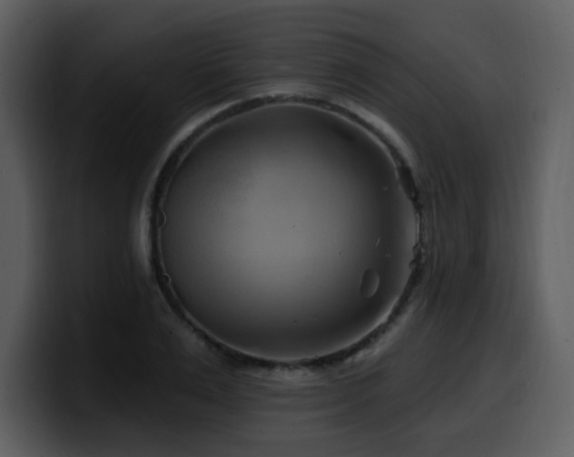 X0000100780983200806191259