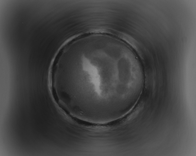 X0000100780984200806191259