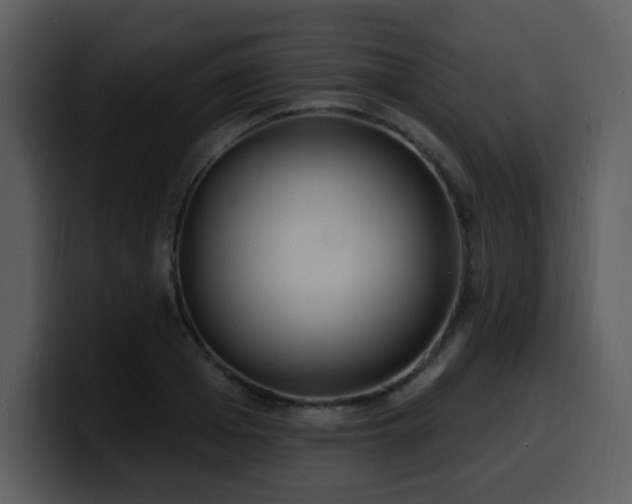 X0000100780985200806191259