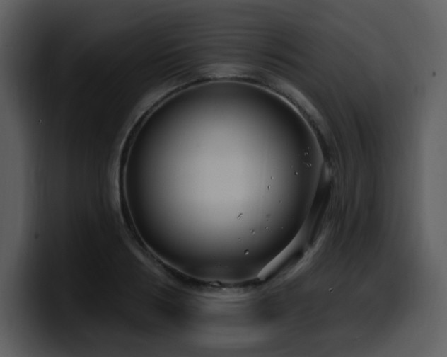 X0000100780986200806191259