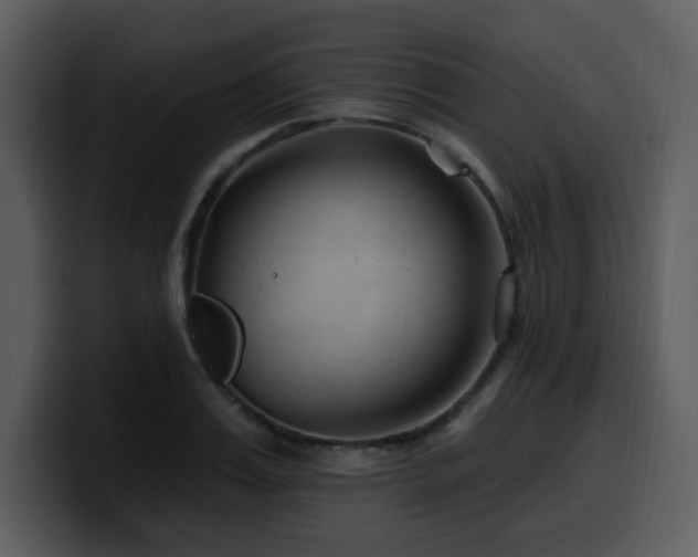 X0000100780987200806191259