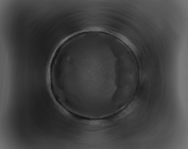 X0000100780988200806191259