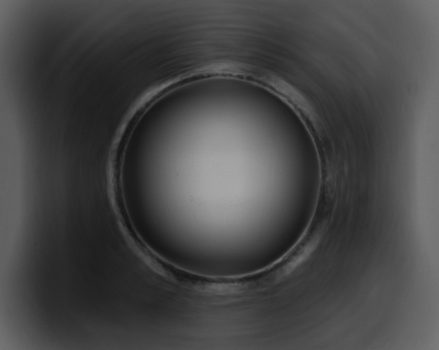 X0000100780989200806191259