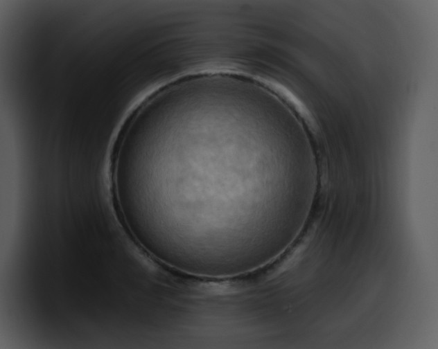 X0000100780990200806191259