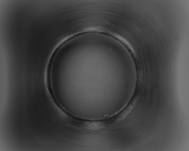 X0000100780991200806191259