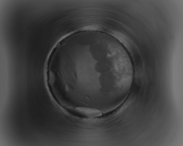 X0000100780992200806191259