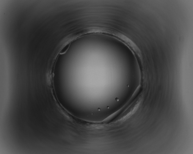 X0000100780993200806191259