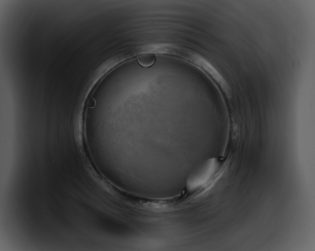 X0000100780994200806191259