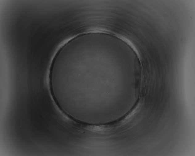 X0000100780995200806191259