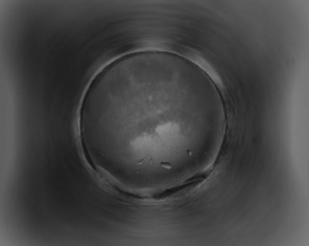 X0000100780996200806191259