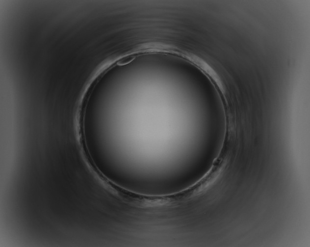 X0000100780997200806191259