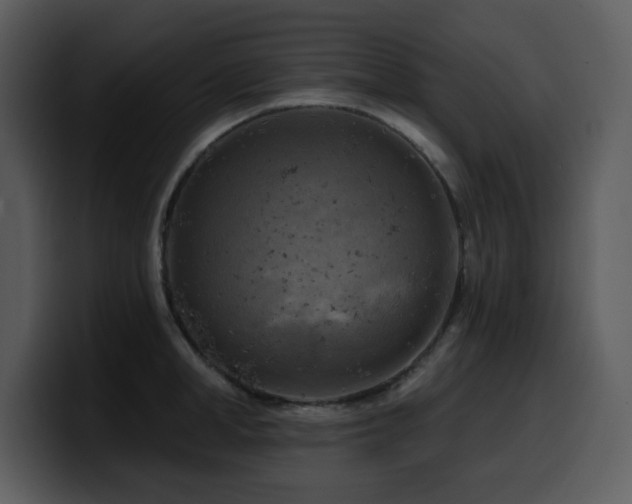 X0000100780998200806191259