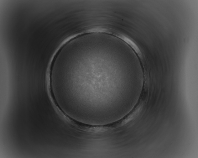 X0000100781000200806191258