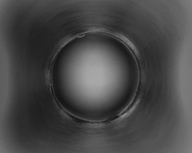 X0000100781001200806191258