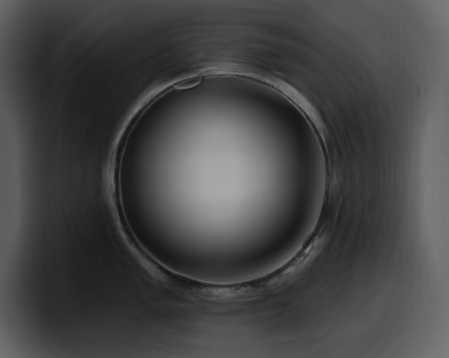 X0000100781005200806191258