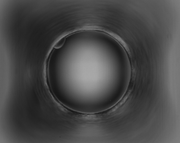 X0000100781006200806191258