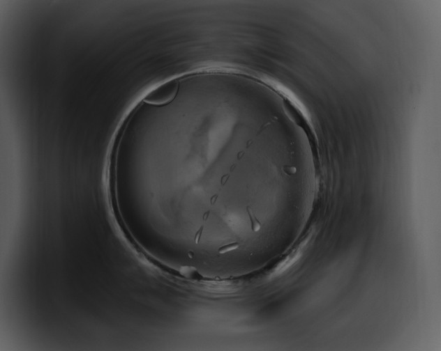 X0000100781007200806191258