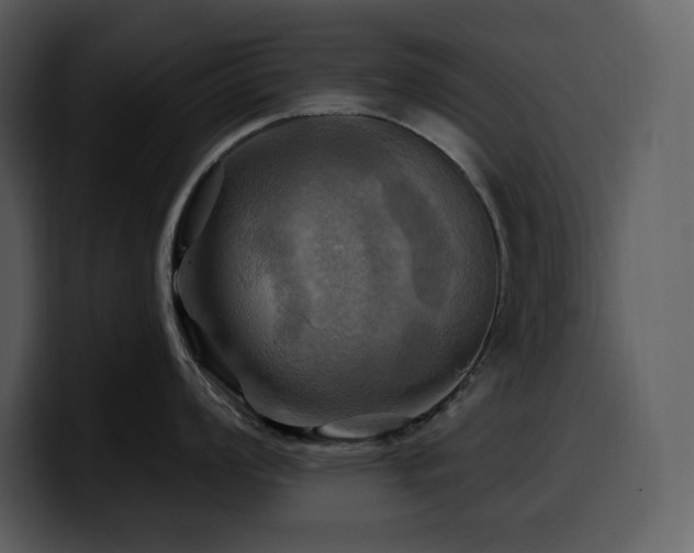 X0000100781008200806191258