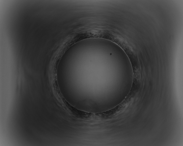 X0000100781009200806191258