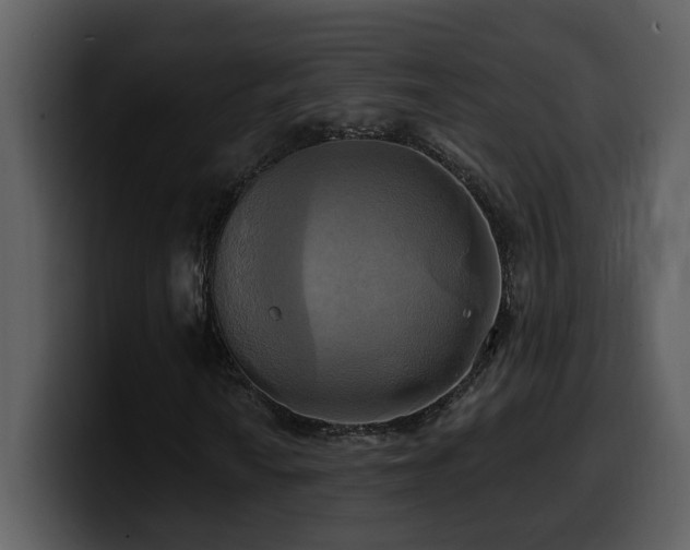 X0000100781010200806191258