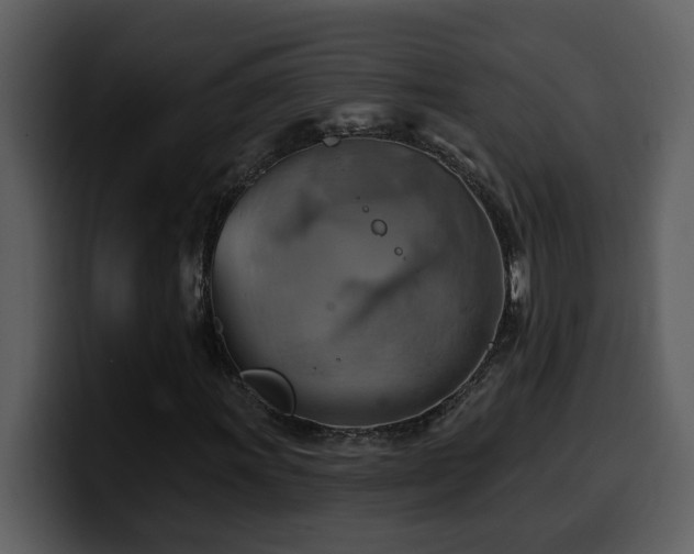 X0000100781011200806191258