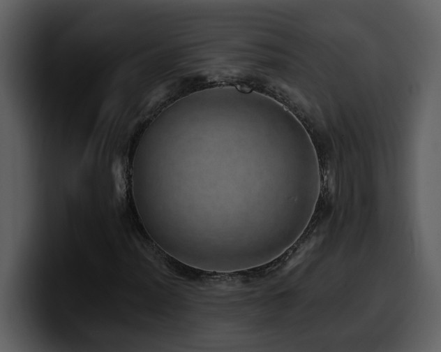 X0000100781012200806191258