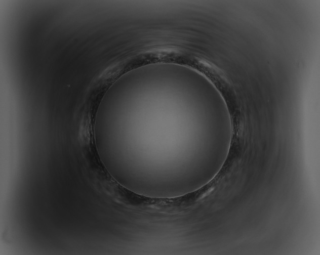 X0000100781014200806191258