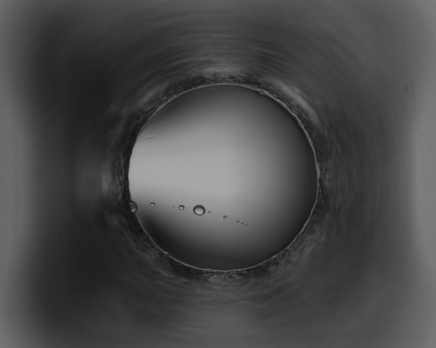 X0000100781015200806191258