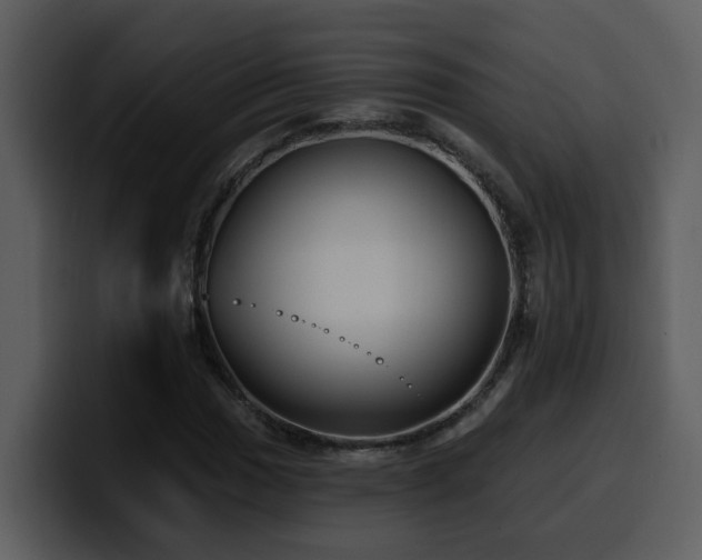 X0000100781017200806191258