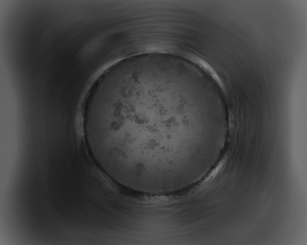 X0000100781019200806191258