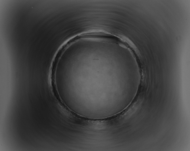 X0000100781020200806191258